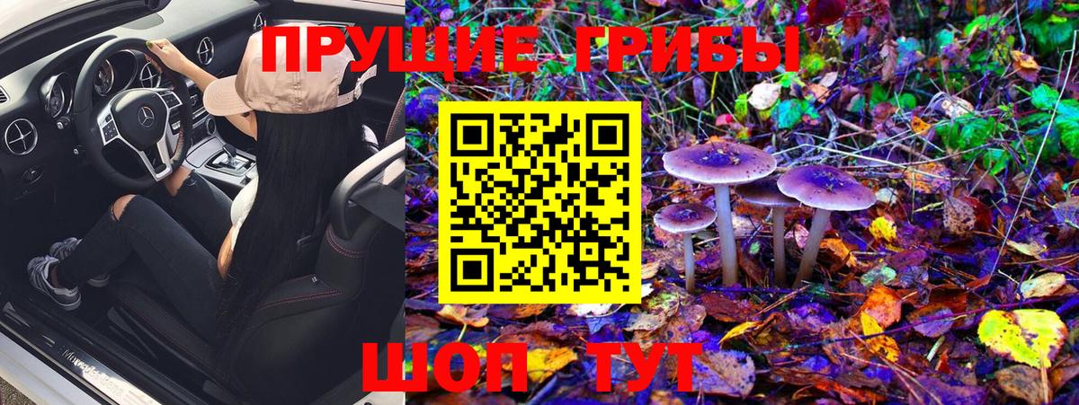 Псилоцибиновые грибы MAGIC MUSHROOMS  Вход с VPN  Галлюциногенные грибы Psilocybine cubensis  Майкоп 