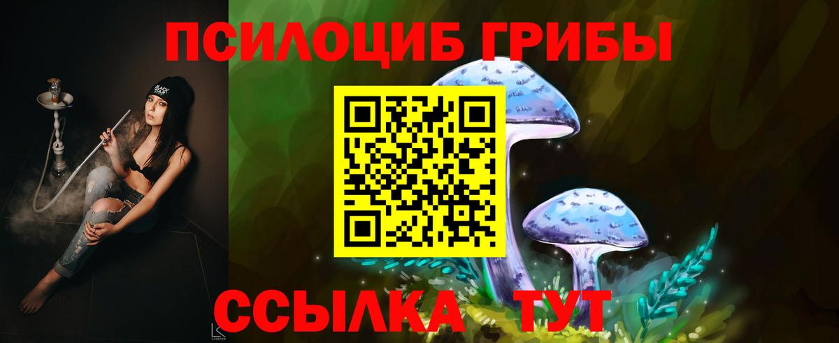 Галлюциногенные грибы мухоморы Майкоп