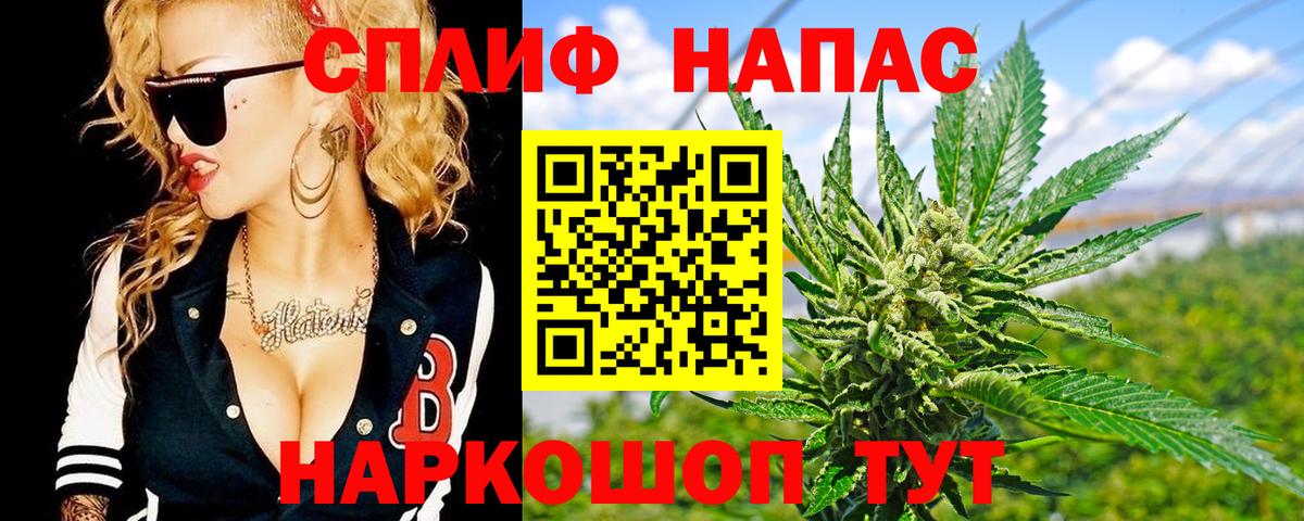 Каннабис план  Бошки Шишки VHQ  Шишки марихуана сатива  Майкоп  МАРИХУАНА White Widow  Вход с VPN 